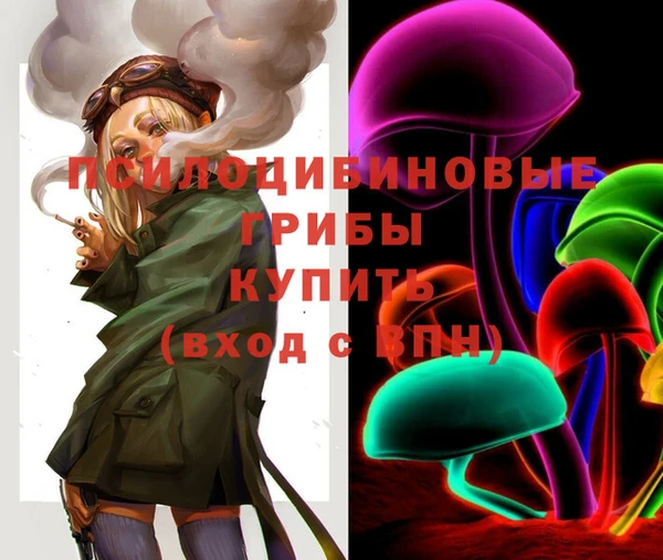 метадон Армянск
