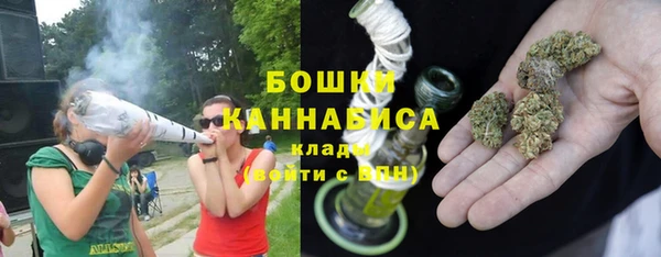 ГАЛЛЮЦИНОГЕННЫЕ ГРИБЫ Арсеньев
